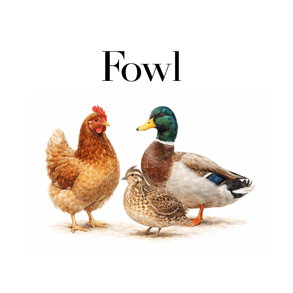 Fowl - Wormstead Farm