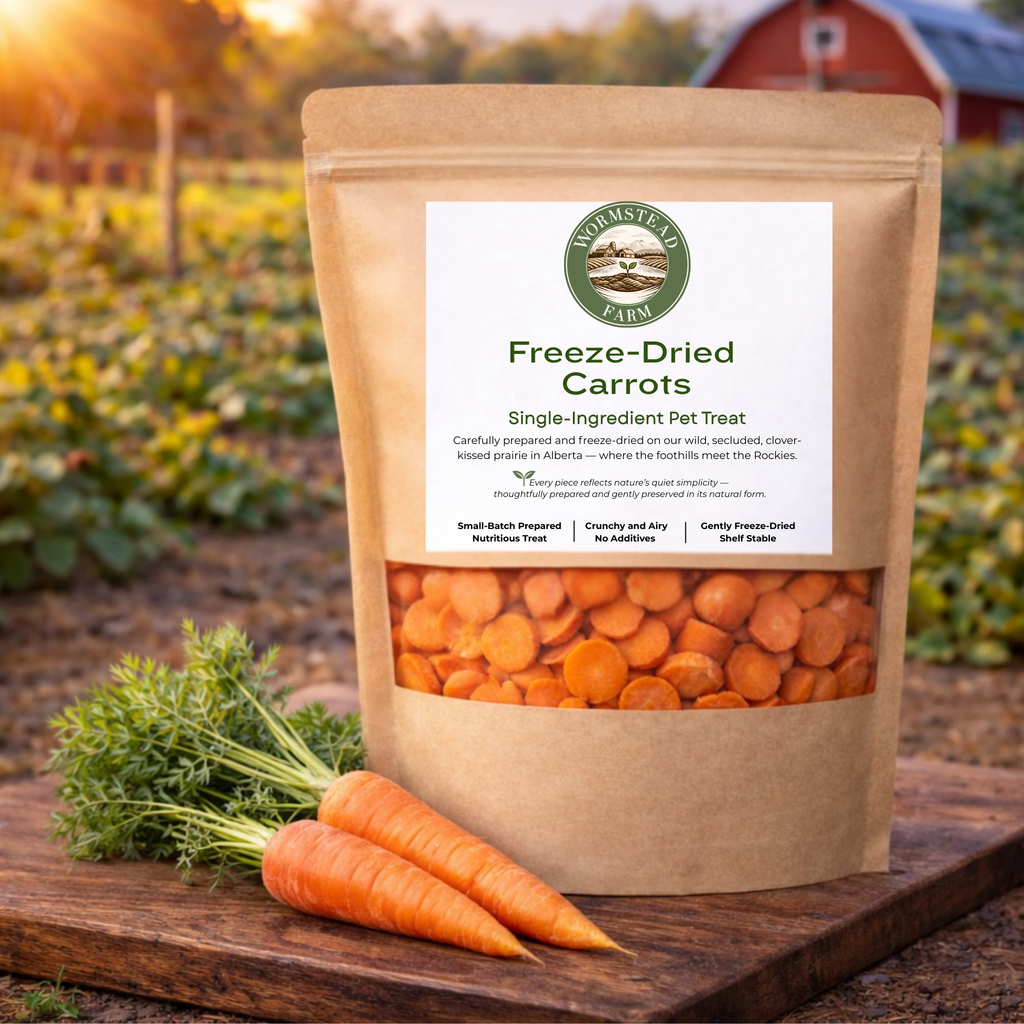 Carrots Freeze - Dried 30g - Wormstead Farm