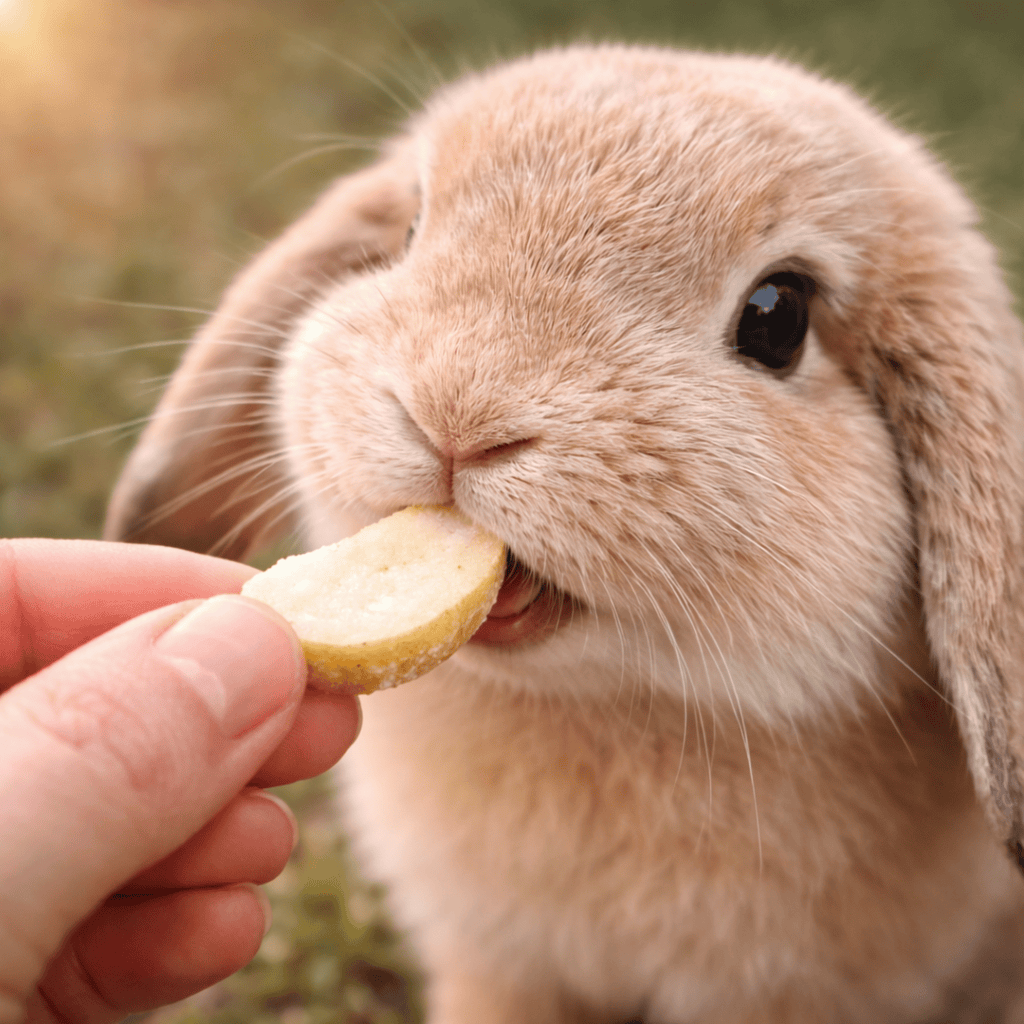 Pears Freeze - Dried 40g - Wormstead Farm