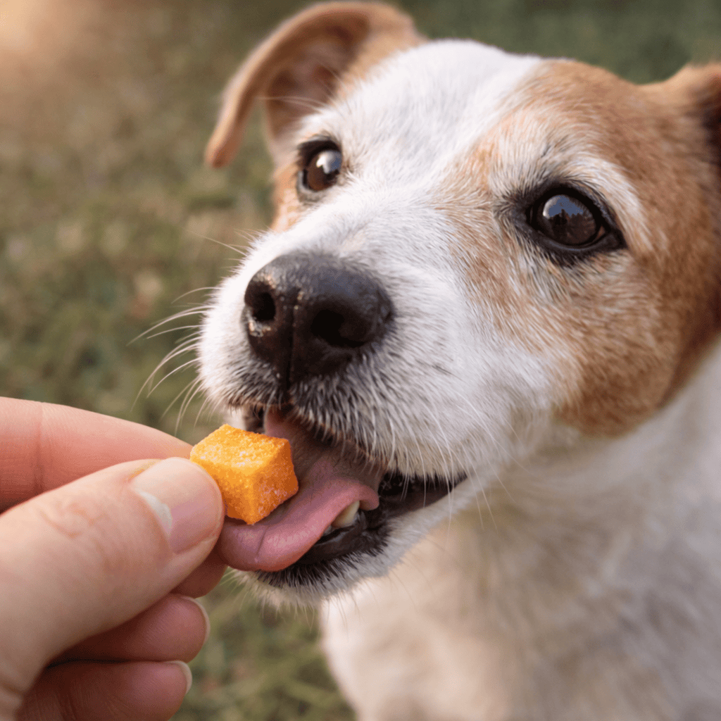 Sweet Potatoes Freeze - Dried 40g - Wormstead Farm